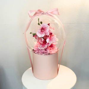 bubble box blossom